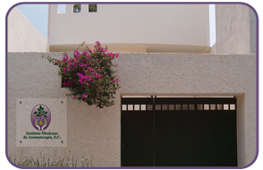 Instituto Mexicanos de Aromaterapia